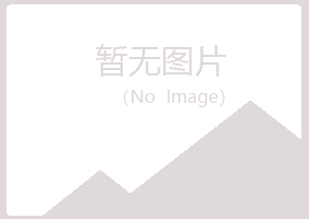 白银平川慕灵建设有限公司